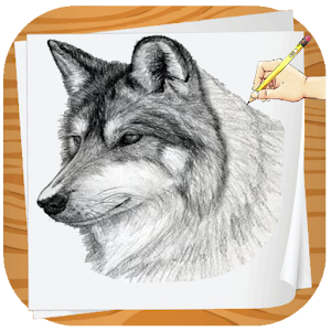 How To Draw Wolves  Icon