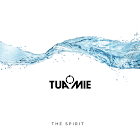 The Spirit by TUAMIE