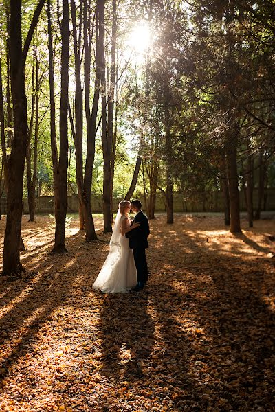 Fotógrafo de casamento Aleksandra Pavlova (pavlovaaleks). Foto de 12 de janeiro 2019