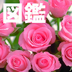 Cover Image of Tải xuống 植物図鑑 1.8 APK