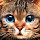 Cat Funny HD Wallpaper New Tab
