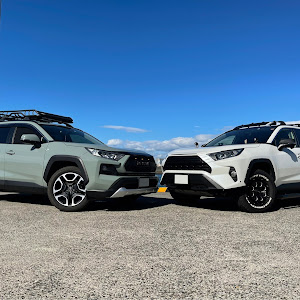 RAV4 MXAA54