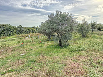 terrain à batir à Serviers-et-Labaume (30)