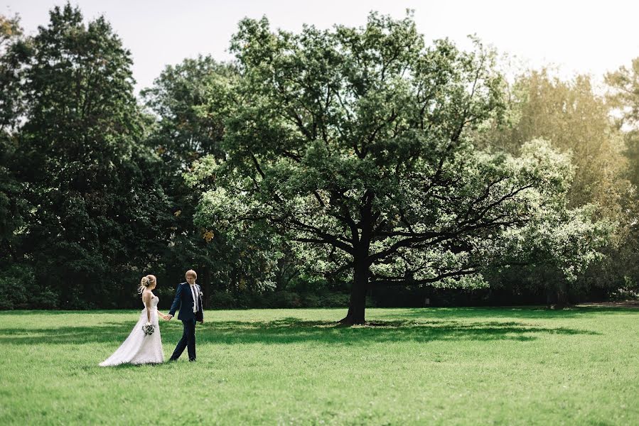 Wedding photographer Yuliya Nastenkova (impi). Photo of 20 October 2016