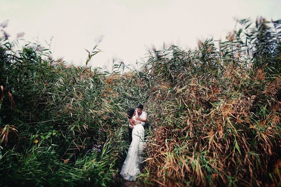 Fotógrafo de bodas Taras Terleckiy (jyjuk). Foto del 15 de octubre 2015