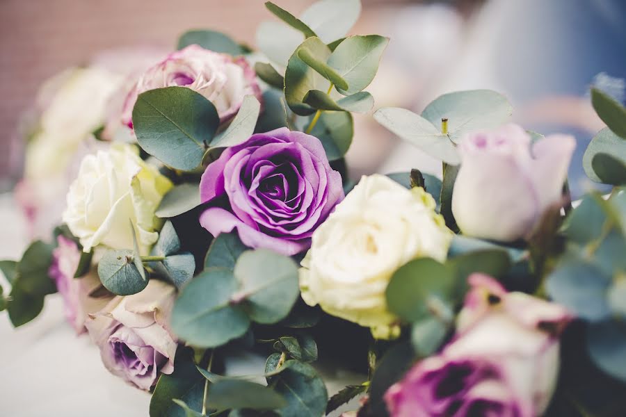 Photographe de mariage Ingrid Bertens (bertens). Photo du 7 mars 2019