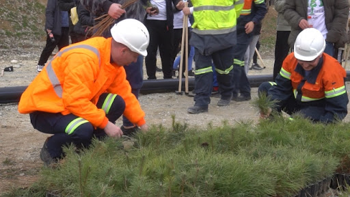 Ziđin koper u akciji pošumljavanje Srbije (FOTO/VIDEO)