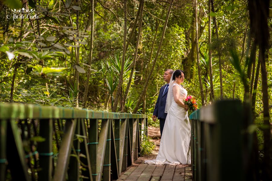 Wedding photographer Abi De Carlo (abidecarlo). Photo of 10 December 2018