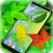 Leaves Magic Touch on Screen  Icon
