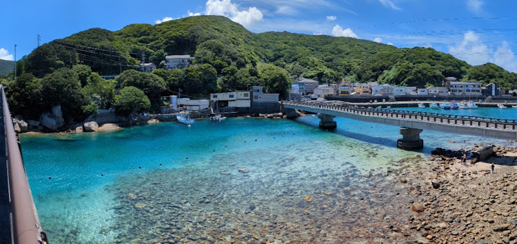 シビックタイプRの8月もよろしくお願いします・柏島・高知に関するカスタム事例の投稿画像2枚目
