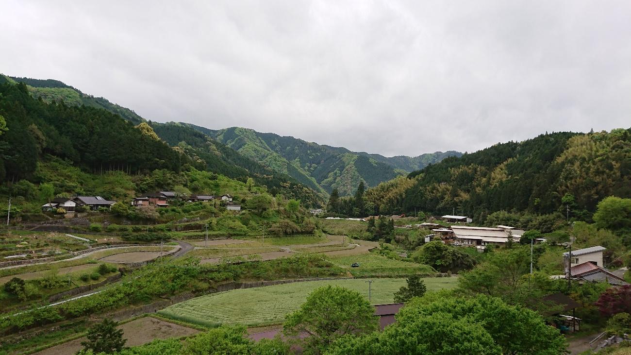 草, 空, 屋外, 自然 が含まれている画像

自動的に生成された説明