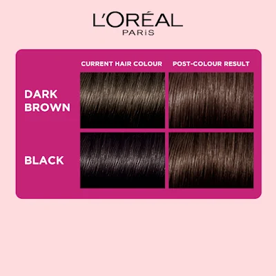 LOREAL HR/CLR CAST DARKEST BROWN 300 1PC