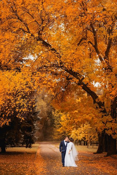 Fotógrafo de casamento Natalya Іvanіna (ivaninafoto). Foto de 11 de outubro 2017