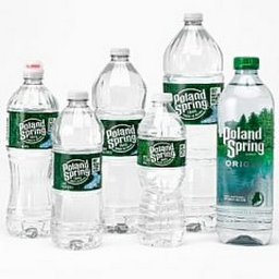 Poland Spring Water 1L