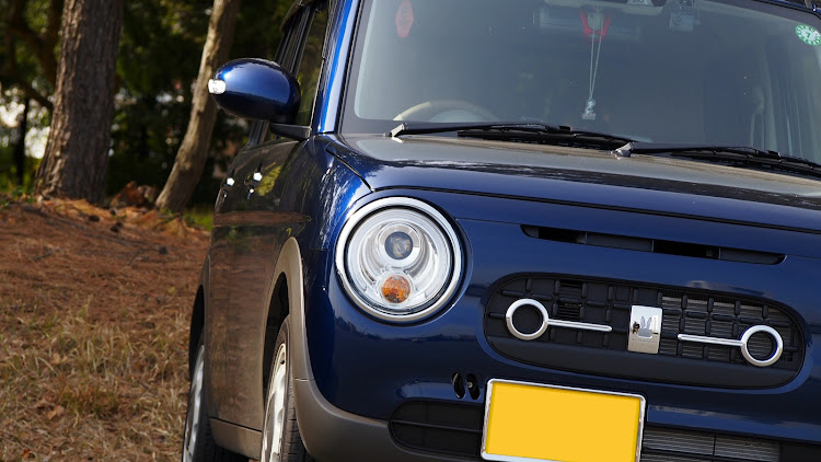 アルトラパンのラパンLC・洗車・花粉と黄砂のハッピーセットに関するカスタム事例の投稿画像2枚目