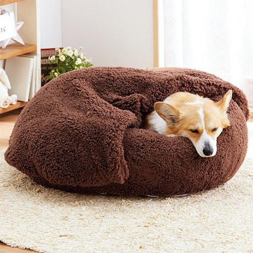 Title 2, Cats Nest Deep Sleep Semi Closed A cozy haven ...