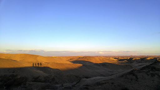 Knowledge thirst:  A researcher sets up arrays of small tiles across the Namib to understand the growth and evolution of bacterial communities. Picture: SUPPLIED