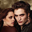 The Twilight Saga Tab