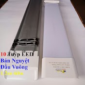 [Combo] 10 Tuýp Led Bán Nguyệt Đầu Vuông 1.2M 60W Siêu Sáng Tiết Kiệm Điện Năng