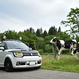 イグニス FF21S