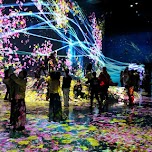 teamLab Borderless in Tokyo in Tokyo, Japan 