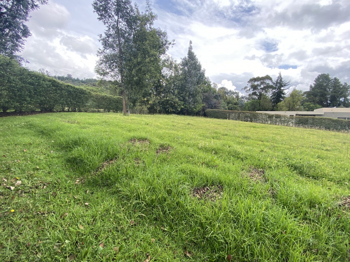 Lote En Venta - La Calera, La Calera