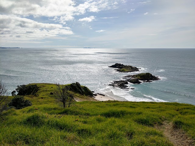 Te Whara Track Ocean Beach Trail