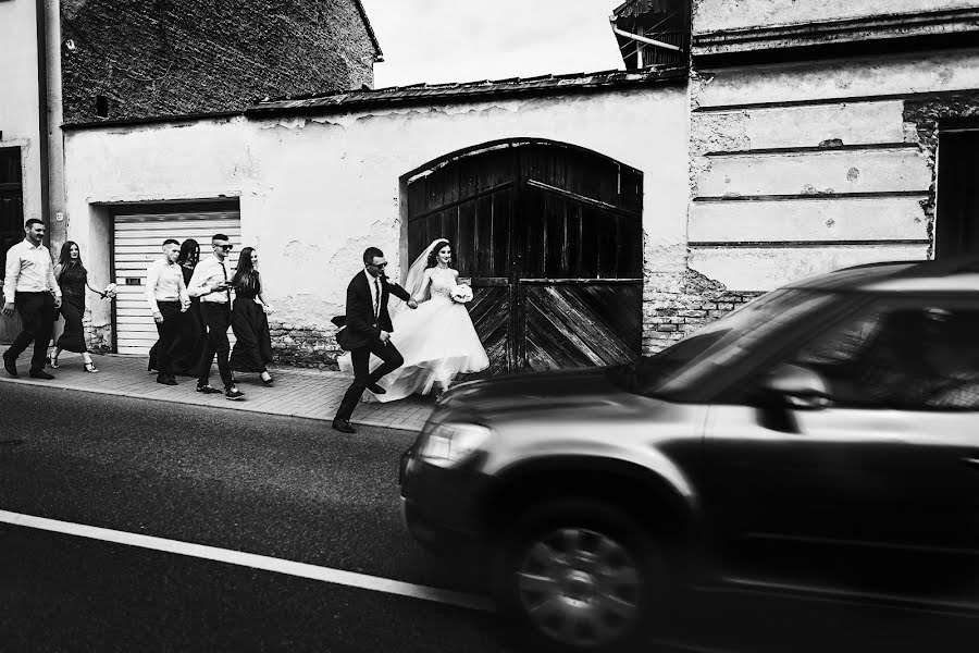 Photographe de mariage Vasili Kovach (kovach). Photo du 17 février 2019