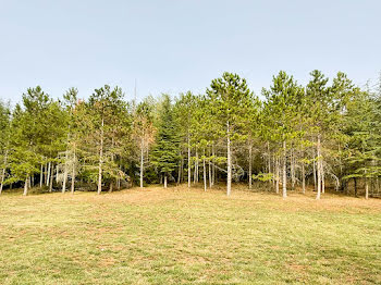 terrain à Réalmont (81)