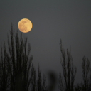 Bright Moon in a Clear Sky