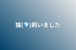 猫(💎)飼いました