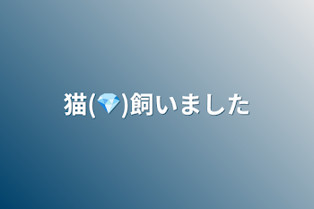 猫(💎)飼いました