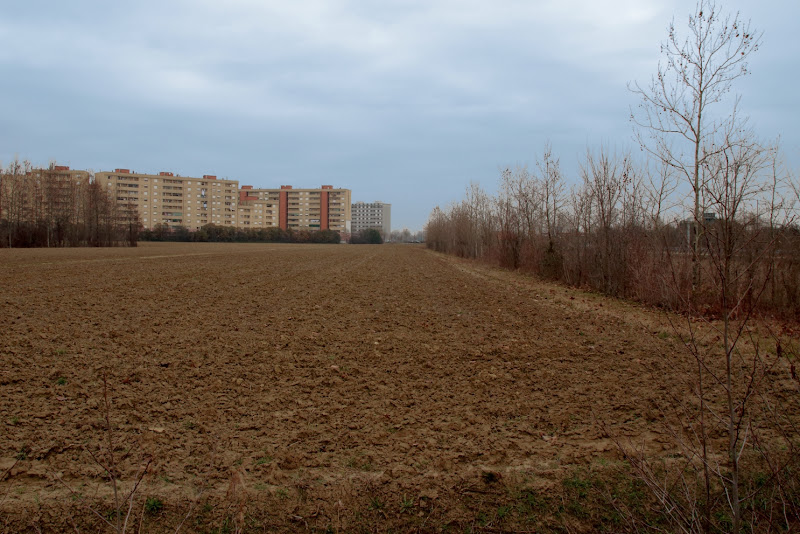 citta vs campagna di cattelan stefano