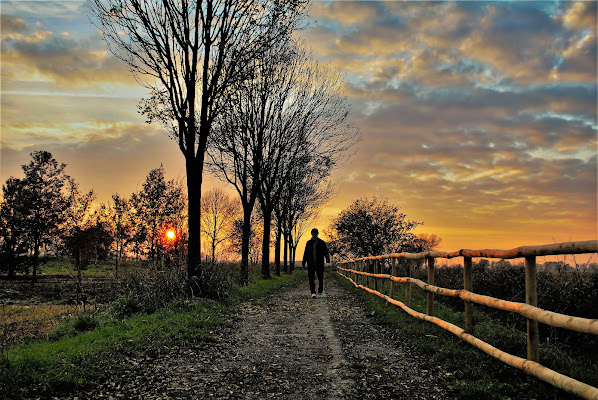 Solitario sentiero del tramonto di Daimon