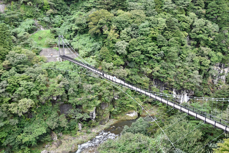 ヴェゼルの鬼怒川温泉・鬼怒楯岩大吊橋・goodgroove・ホテルサンシャイン鬼怒川に関するカスタム事例の投稿画像4枚目