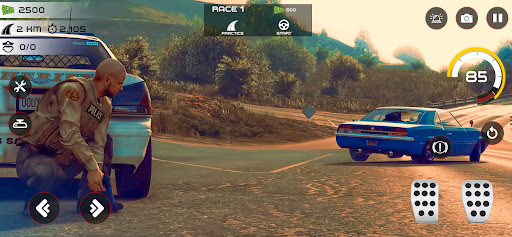 Screenshot Highway Police Chase Simulator