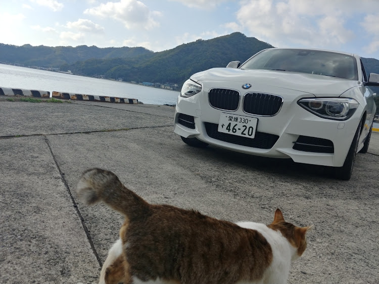 1シリーズ ハッチバックの我慢の三連休・やっぱりちょっとはドライブしないと！・猫様とコラボ・海岸線下道ドライブ🎶🚗💨🎶・いや、ままごとちゃうで！💦に関するカスタム事例の投稿画像3枚目