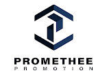 logo de l'agence PROMETHEE TRANSACTION