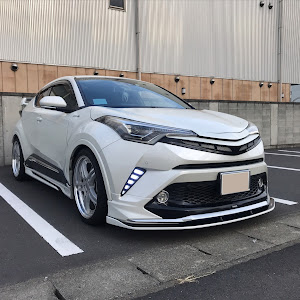 C-HR ZYX10