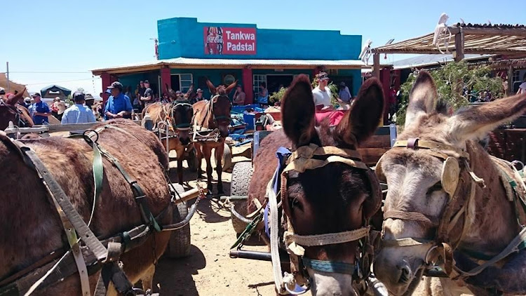 Tankwa Padstal, an oasis for road-trippers and Afrika-burners.