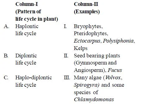 Plant life Cycles and Alternation of Generations