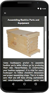Building A Beehive - náhled
