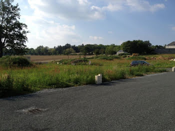 terrain à Montreuil-Bellay (49)