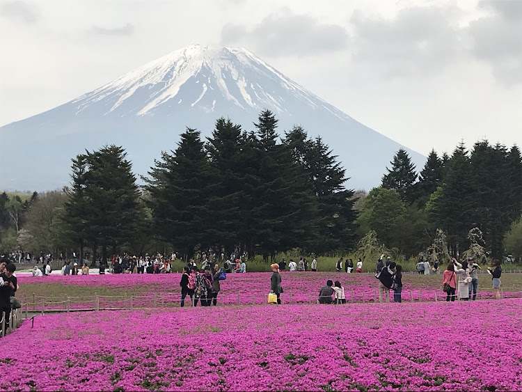 の投稿画像7枚目