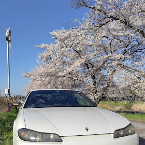 シルビア S15