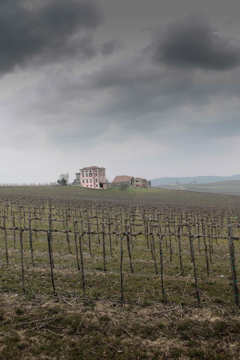 l'inverno tra la vigna... di rebxus