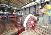 Fishermen slaughter a 10m-long bottlenose whale at the Wada port in Minami-Boso city, Chiba prefecture, east of Tokyo. File photo.
