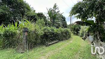 terrain à Petit bourg (971)