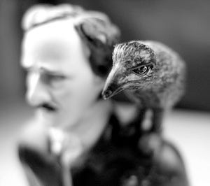 A statue of a raven standing on the shoulder of Edgar Allen Poe.