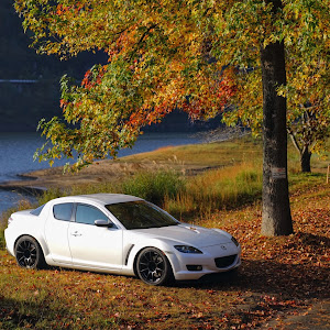 RX-8 SE3P